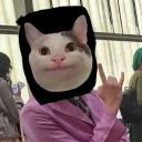 shadowcat7133