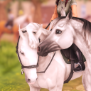 Avatar de morganfogwild