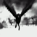 raven.web