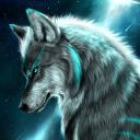 spacewolf23