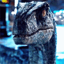 raptorex01
