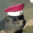 MARMOTTE Tsariste