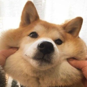 delshiba