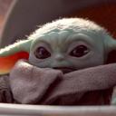 Le vrai bébé Yoda