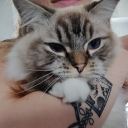 Beebix