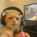 novanille