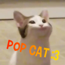 POP CAT