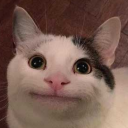 mcesfluxy