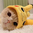 PIKACAT bot