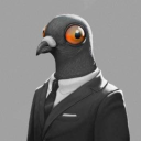 le_pigeon_aquatique