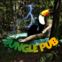 Serveur 🌴│jungle pub™