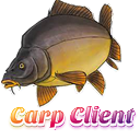 Icône Carp Client