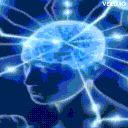 Icône Le 2ème cerveau Icône Le 2ème cerveau