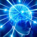 Icon Le 2 ème cerveau Icon Le 2 ème cerveau