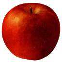 Icône La Grosse Pomme