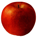 Icon La grosse pomme