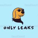 Icône Only Leaks