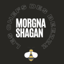 Icône Morgna Shagan Icône Morgna Shagan