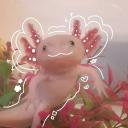 Icône ๑~*·~☆~*the paw paradise*~☆~·*·~๑