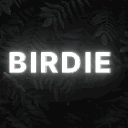 Serveur Valo x Birdie Cummunauté / Shop / Team esport