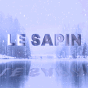 Icône LeSapin 🎄