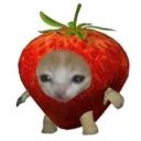Serveur *𝑒𝓋𝑒𝓇𝓎𝓇𝑒𝒹*
