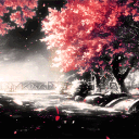 Icon Cherry die france