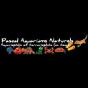 Icon Pascal Aquariums Naturels