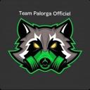 Palorga-Team Server