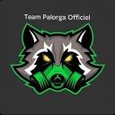 Server Palorga-team