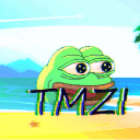 Icon TMZI