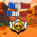 Icône Origine france ™