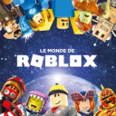 Icon Roblox Fr