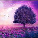 Serveur Purple Tree