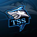 TSS Server