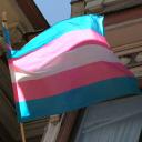 serveur Trans discord