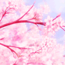 Eternity Eternity