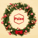 Pulse ⚚ 🎄 Server
