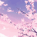 Serveur 桜 • ⌜Sαkurα⌟