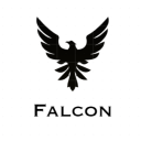 Icône Falcon