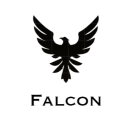 Icône Falcon Icône Falcon