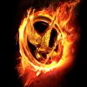 Icon Hunger Games : Puisse le sort vous être favorable ! Icon Hunger Games : Puisse le sort vous être favorable !