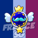 Icon © france stumble guys 🇫🇷