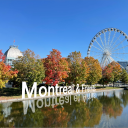 Icon Montréal & Friends