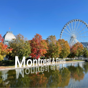 Icône Montréal 