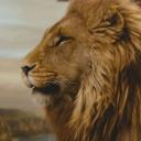 Icon ~The Chronique of Narnia~The descendant Icon ~The Chronique of Narnia~The descendant