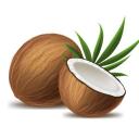 Icon 🥥・Coconut