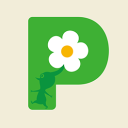 Icône Pikmin France Icône Pikmin France