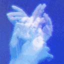 Icon fav Icon fav
