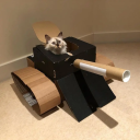 Serveur L'armée des chats !